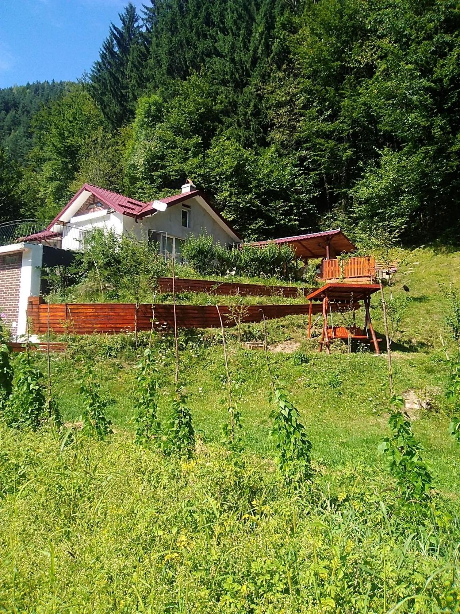 Hotel Casa Ozon Vulcan  Esterno foto